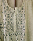 Tissue anarkali