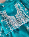 Chikamkari With Embellishment organza