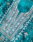 Chikamkari With Embellishment organza