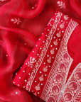 Chikamkari With Embellishment organza