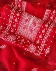 Chikamkari With Embellishment organza