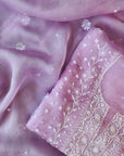 Chikamkari With Embellishment organza