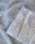 Chikamkari With Embellishment organza