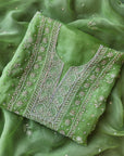 Chikamkari With Embellishment organza