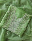 Chikamkari With Embellishment organza