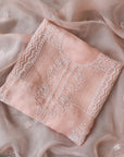 Chikamkari With Embellishment organza