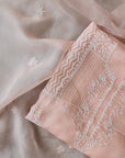 Chikamkari With Embellishment organza