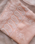 Chikamkari With Embellishment organza