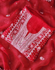 Chikamkari With Embellishment organza