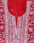 Chikamkari With Embellishment organza