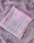 Chikamkari With Embellishment organza