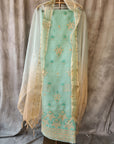 Chikankari Organza