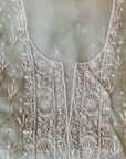Chikamkari With Embellishment organza