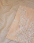 Chikankari embellishment soft chanderi