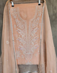 Chikankari embellishment soft chanderi