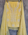Chikankari embellishment soft chanderi