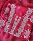 Chikamkari With Embellishment organza
