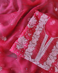 Chikamkari With Embellishment organza