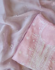 Chikamkari With Embellishment organza