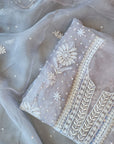 Chikamkari With Embellishment organza