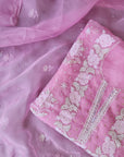 Chikamkari With Embellishment organza