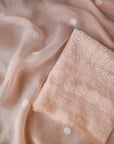 Chikankari organza with mukaish