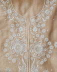 Chikankari embellishment soft chanderi