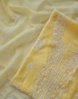 Chikankari embellishment soft chanderi